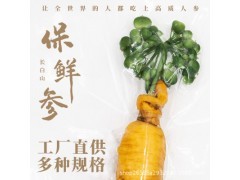 现代农业产业链全景图 从田间到餐桌的多元生态